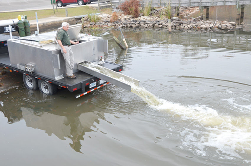 Lake Marion gets stocking of striped bass Outdoors