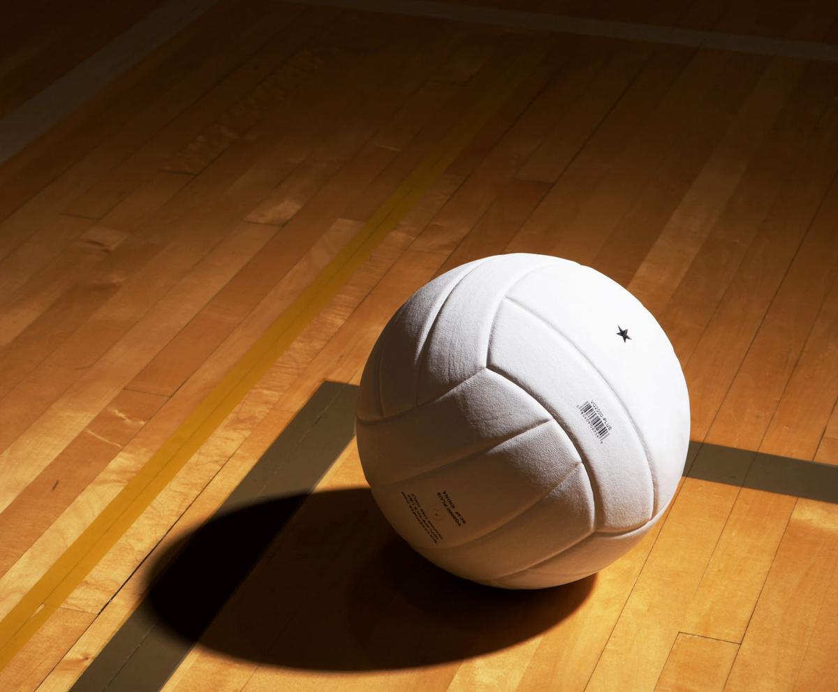 SPORTS LIBRARY Generic volleyball illustration 2