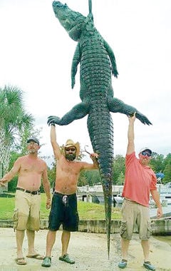Mississippi's fattest alligator tale