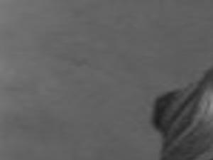 Miss Caitlyn Paige Thomas Ehrhardt Obituaries Thetandd Com