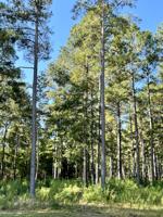 Forestry