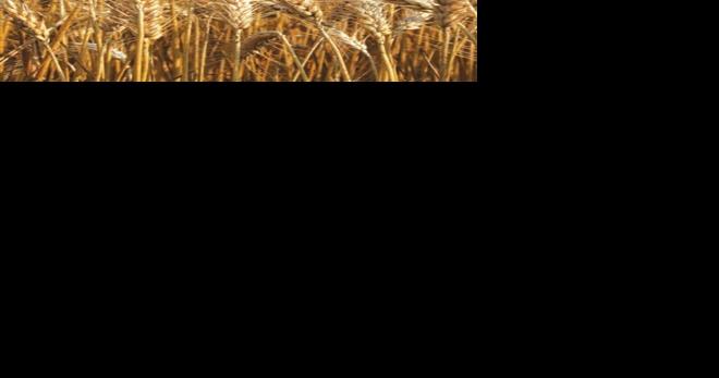 SC Farm Report on Friday - Vimarsana News
