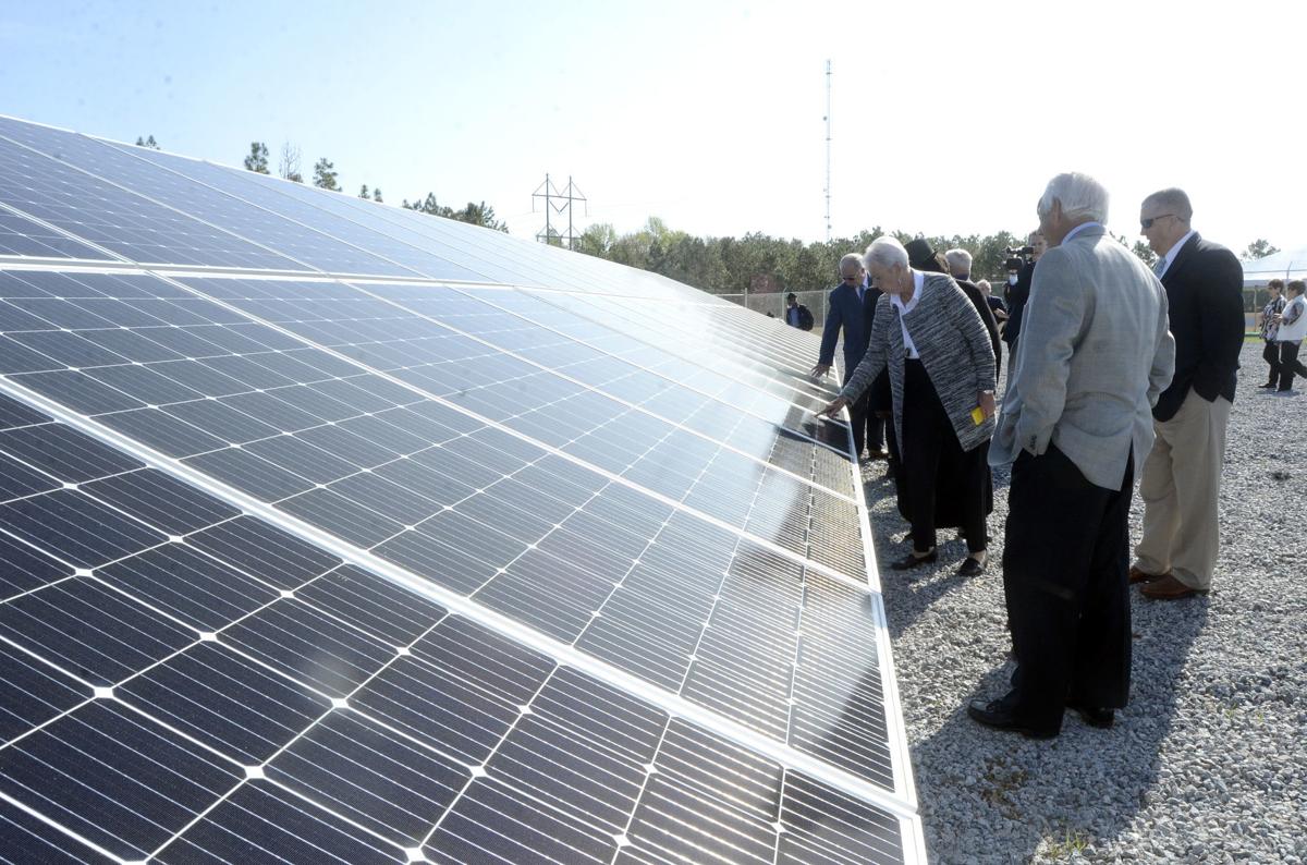 Solar Project Planted Local Thetandd Com