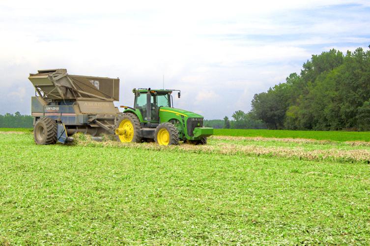 FARM peanuts picker