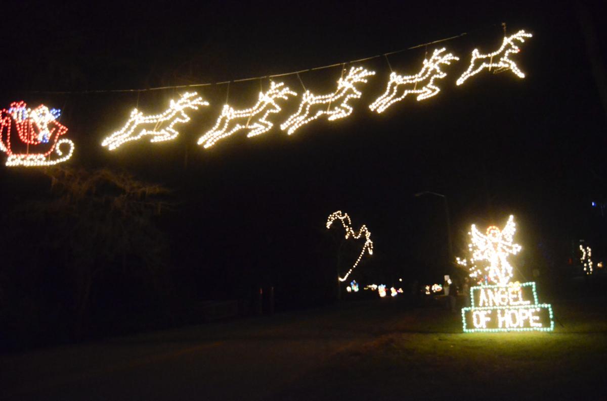 LightingTheGardens27ch