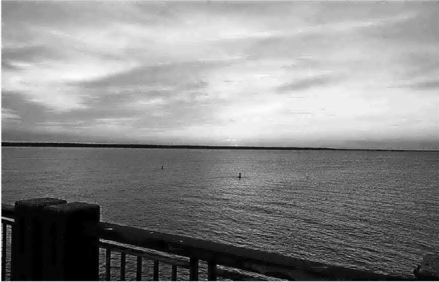 Report 76.5M in homes, lots listed at Lake Marion