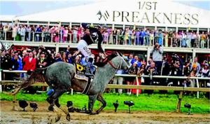 Seize the Grey wins the Preakness