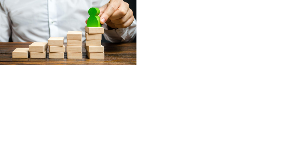 Investing in growth: 10 effective strategies for employee development - Vimarsana News