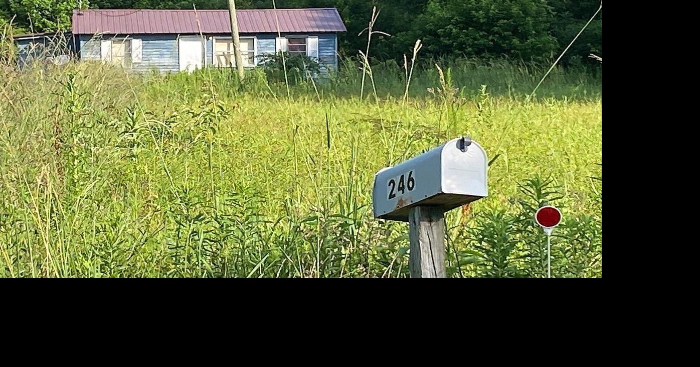 UPDATED 2 bodies found near Eutawville; suspect in custody; toddler OK