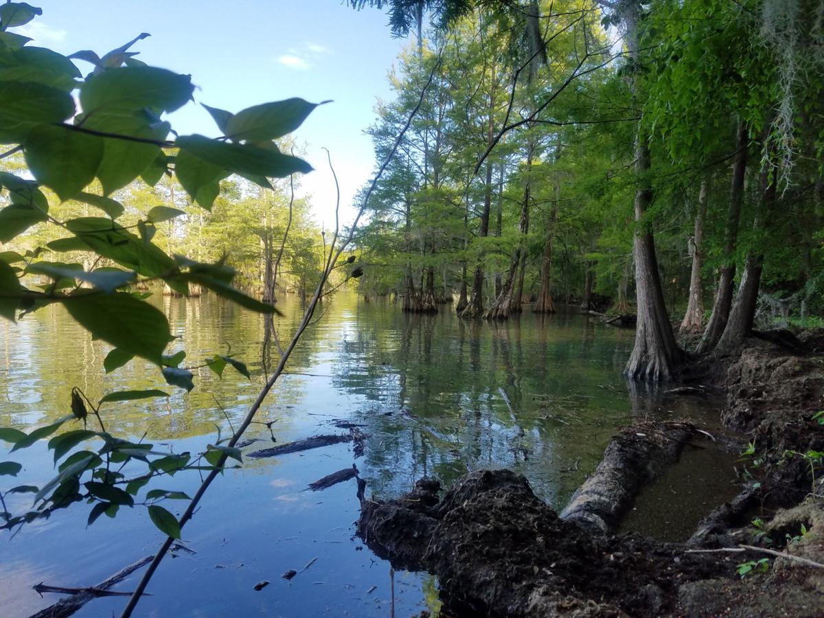 Body found in Lake Marion still unidentified Crime & Courts