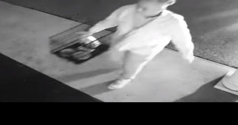 Orangeburg County Sheriff: Info. sought after puppy’s death
