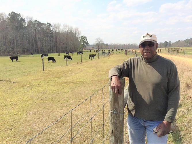 FARM EDITION McClain Cattle