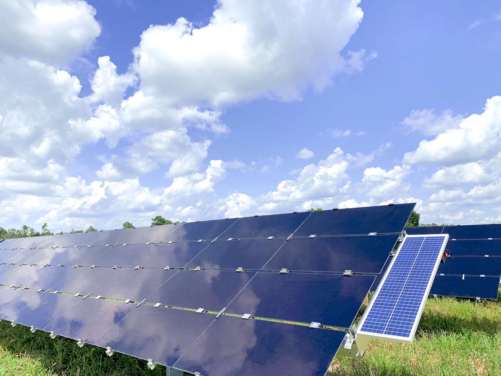 Orangeburg County Solar Capital Of S C Bowman Facility Largest Solar Farm In State Officials Say Local Thetandd Com