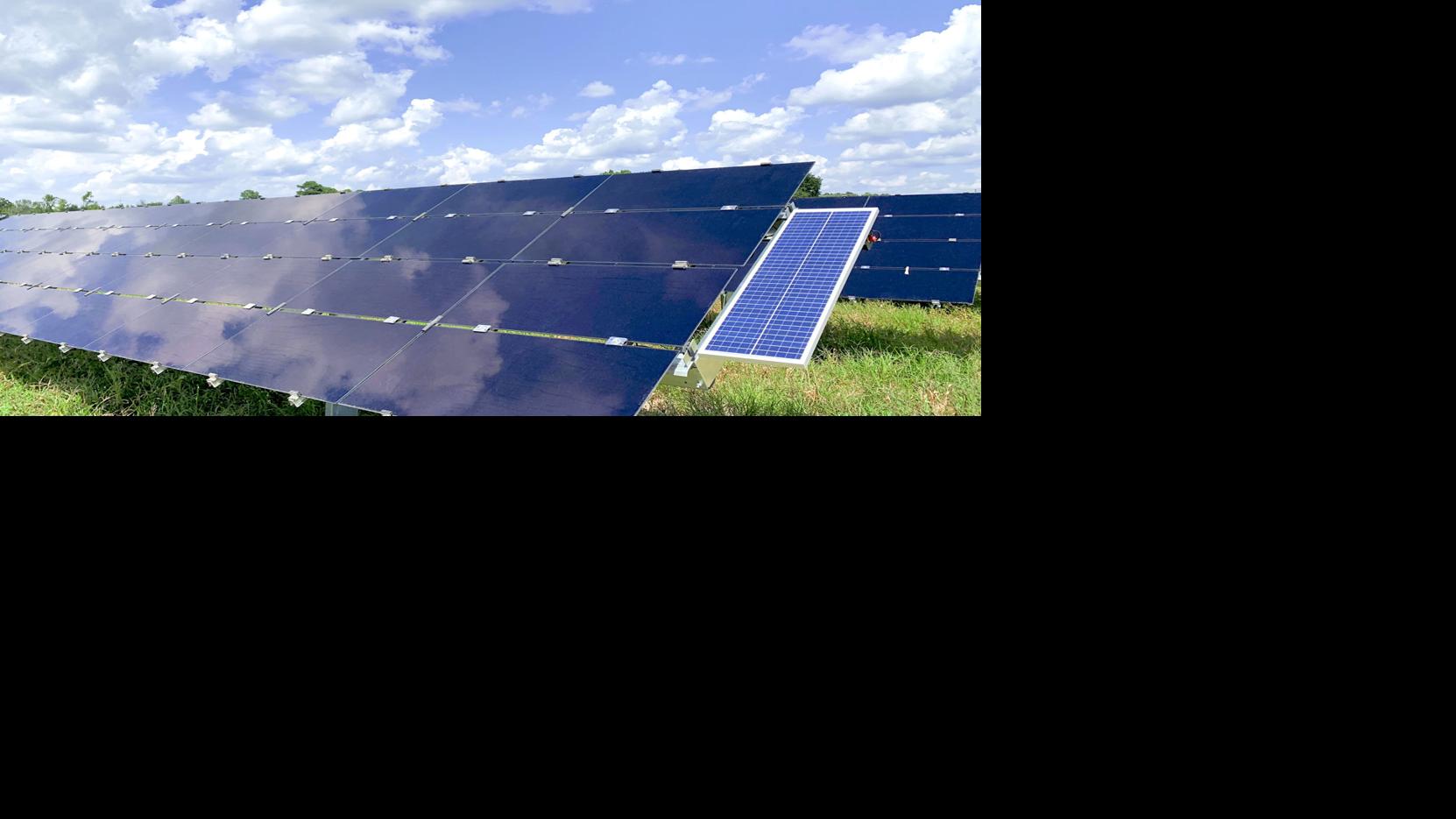 Orangeburg County Solar Capital Of S C Bowman Facility Largest Solar Farm In State Officials Say Local Thetandd Com