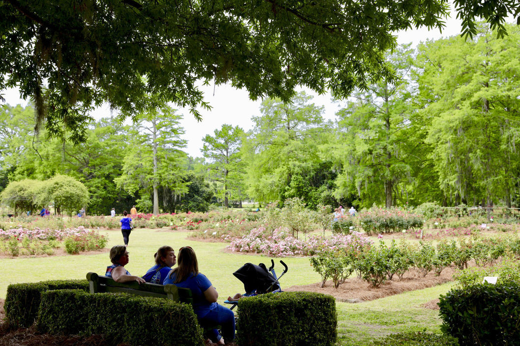 Rose Festival, arts center, others get tax funds