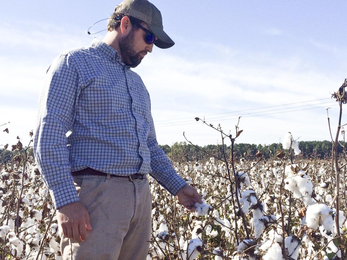 Orangeburg Row Crops