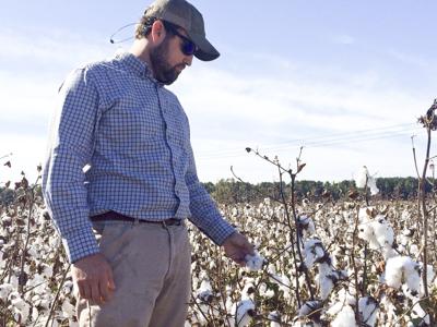 Orangeburg Row Crops
