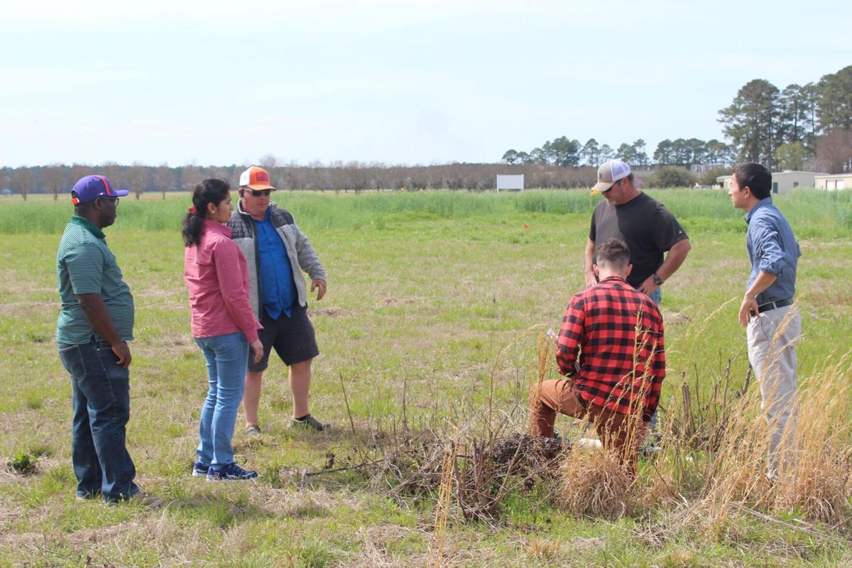A team of Clemson researchers, led by Sruthi Narayanan, discusses the field design for growing cover crops to improve soil-plant interactions, reduce resource inputs and improve productivity of organic corn.