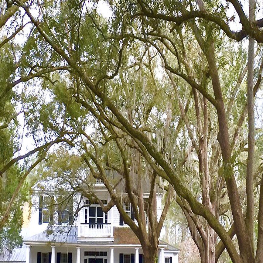 2 Orangeburg Bed And Breakfasts Listed In Top 20 Wedding Venues Local Thetandd Com