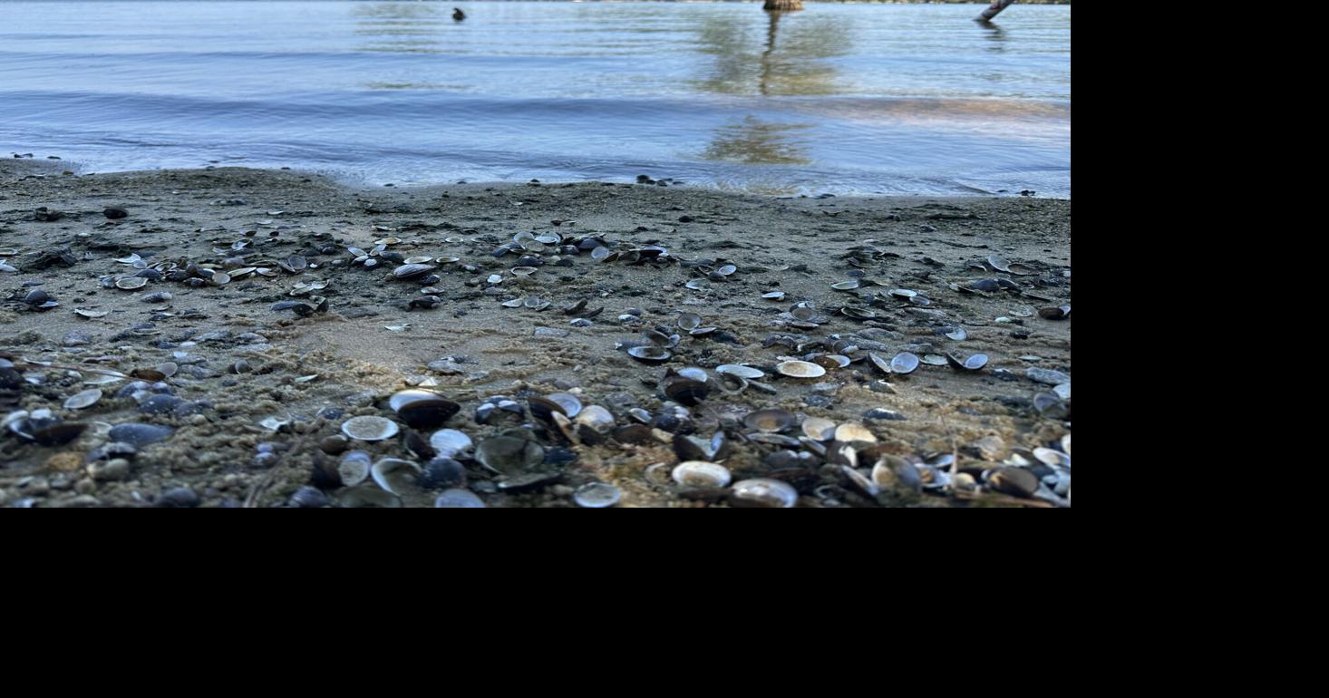 Teen drowns, another rescued near Eutawville
