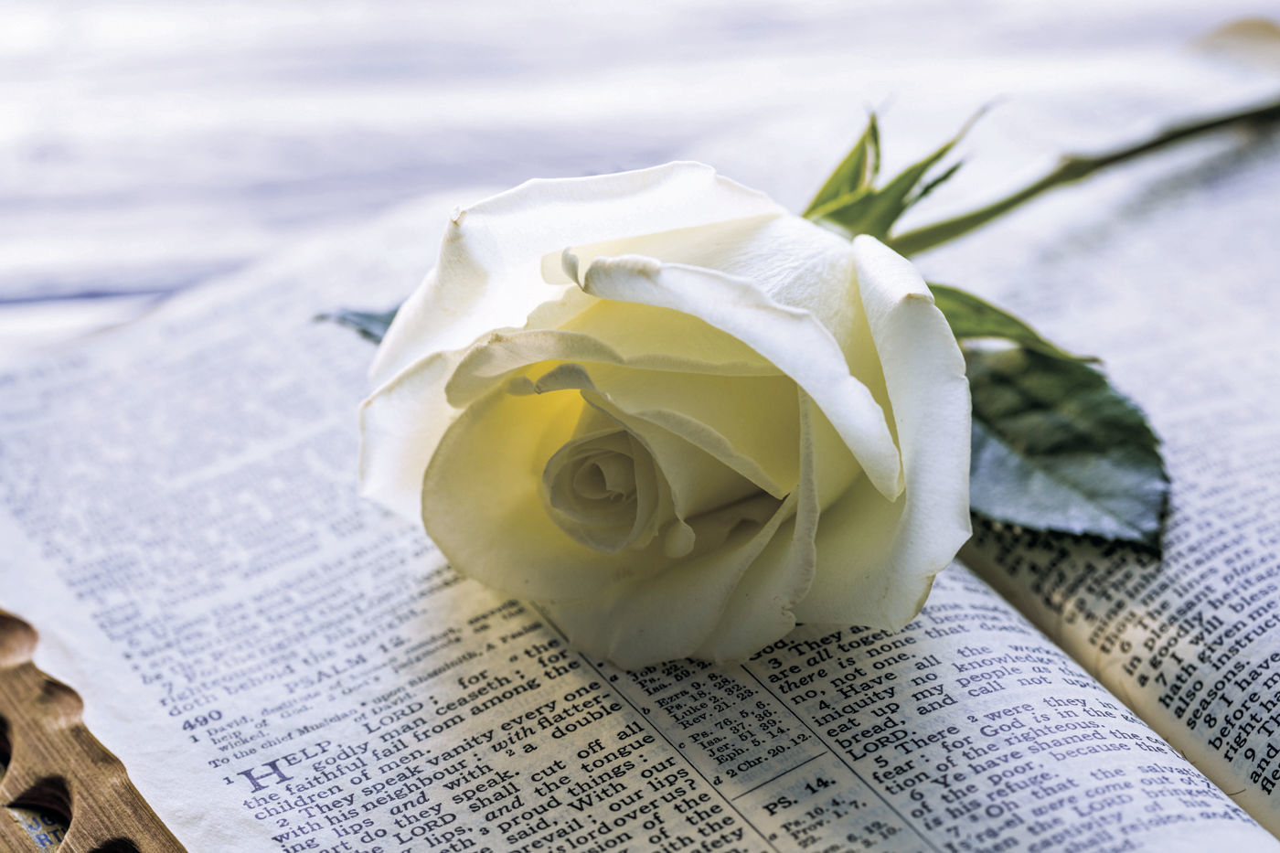 picture of a bible with flower