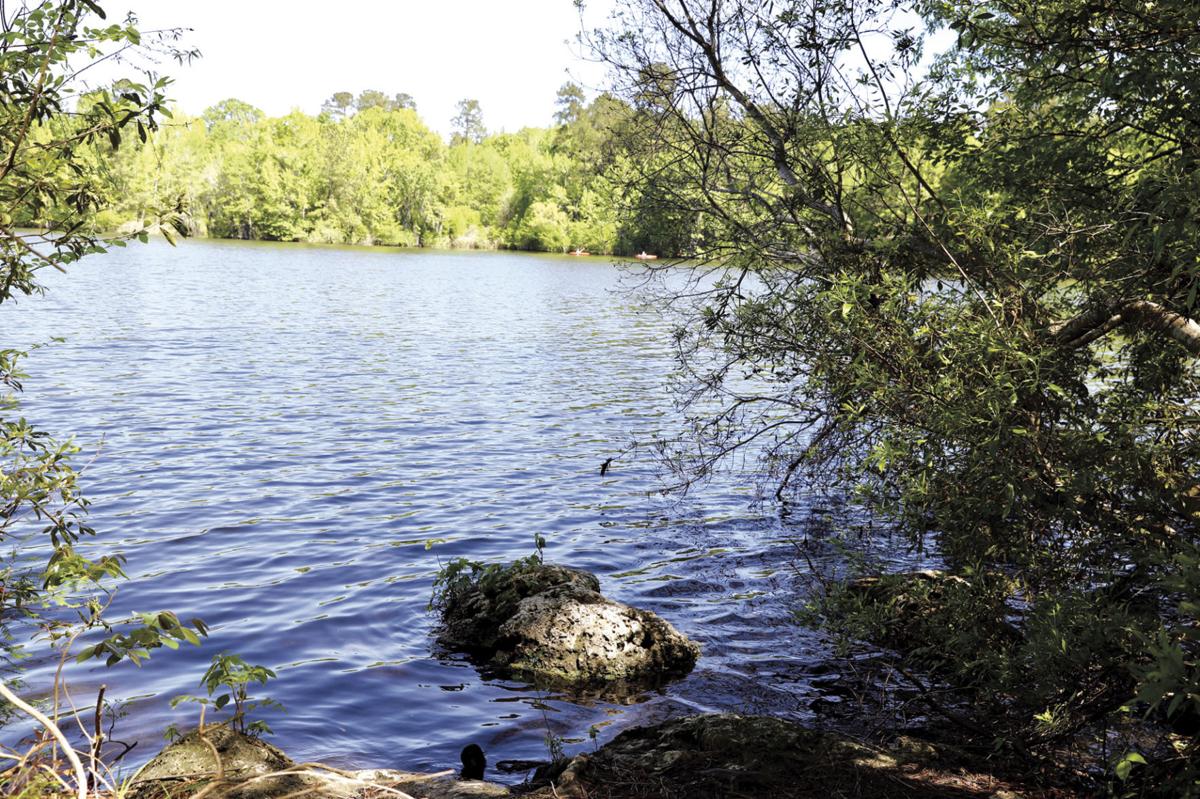 Battle of Eutaw Springs site to be developed into park Local