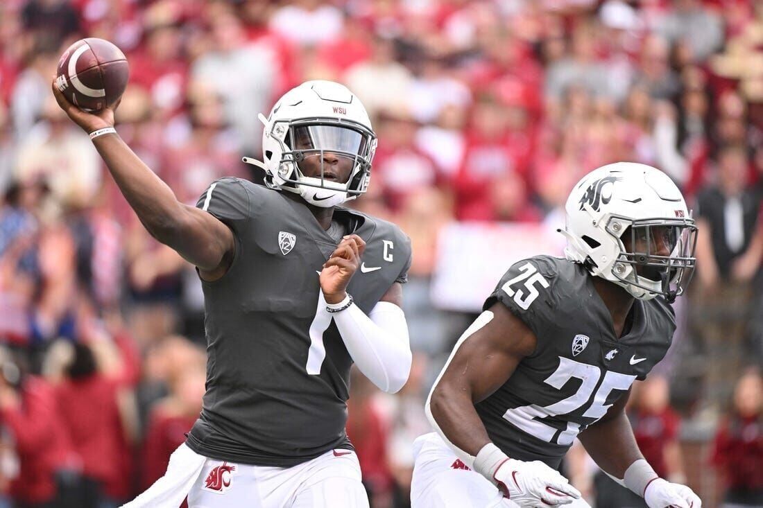 No repeat for Gamecocks as No. 21 Vols win their 'Super Bowl', South  Carolina