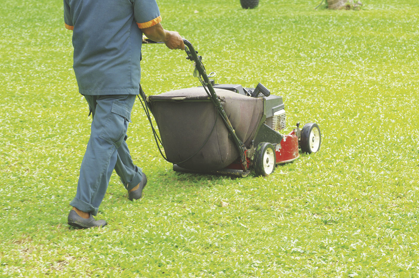 uses for grass clippings