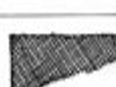 Three Local Men Lost With Uss Cyclops When Ship Vanished Without Trace In 1918 News Thetandd Com