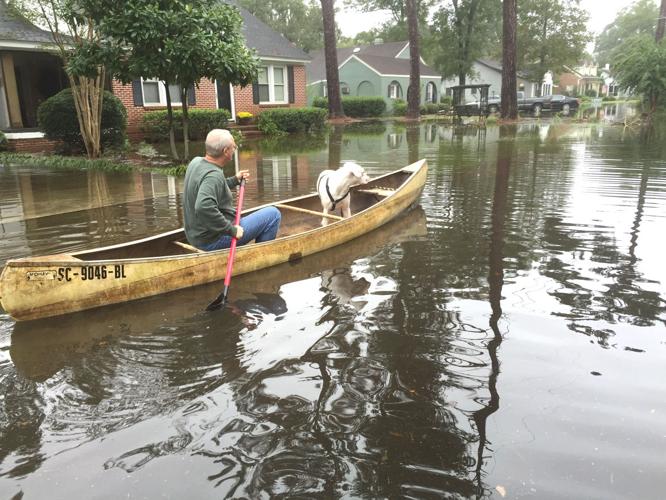 DISASTROUS DELUGE Flooding causes evacuations bridge collapse  