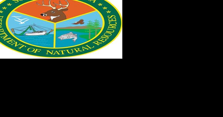 6-year-old dies after Orangeburg County hunting accident - Vimarsana News