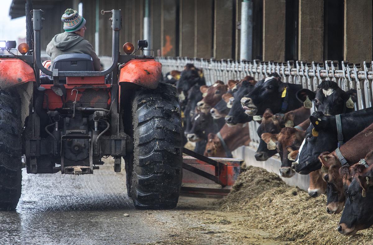 Tractor repair