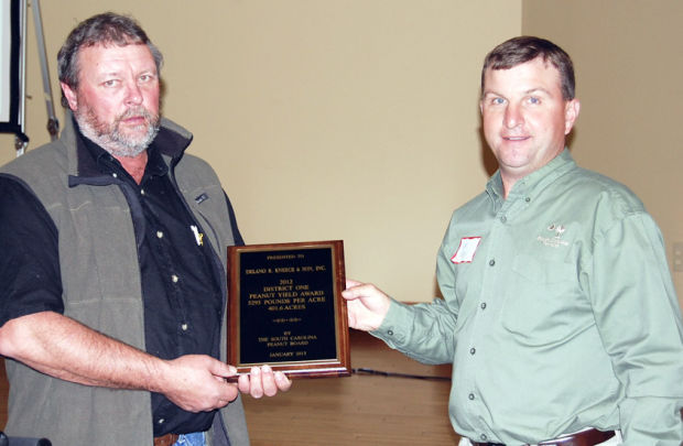 Peanut growers revel in record 2012 yields