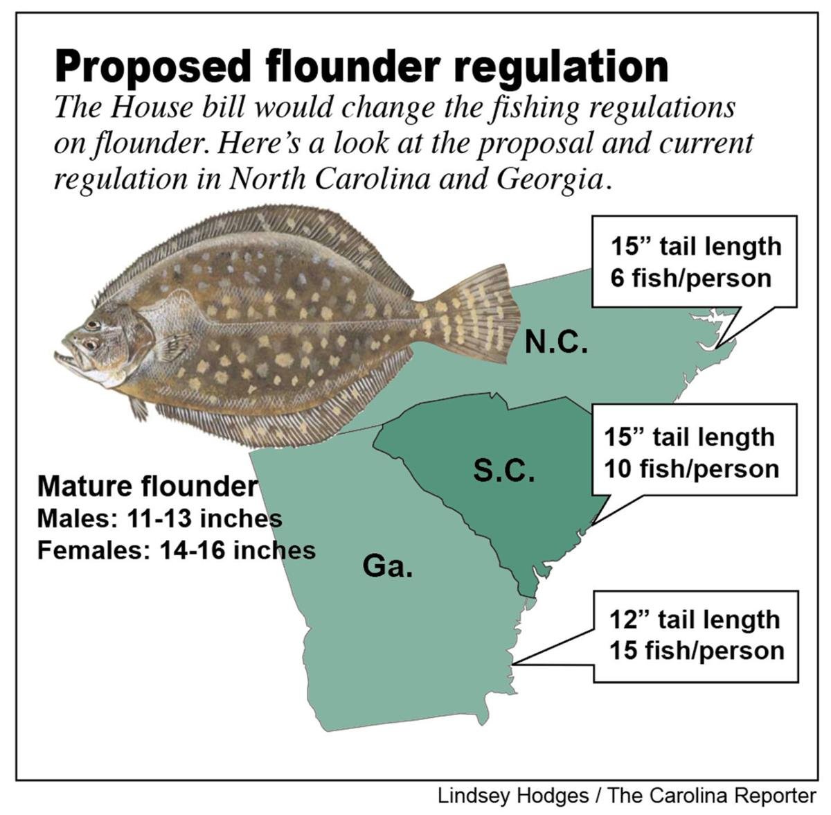S.C. may further limit flounder fishing