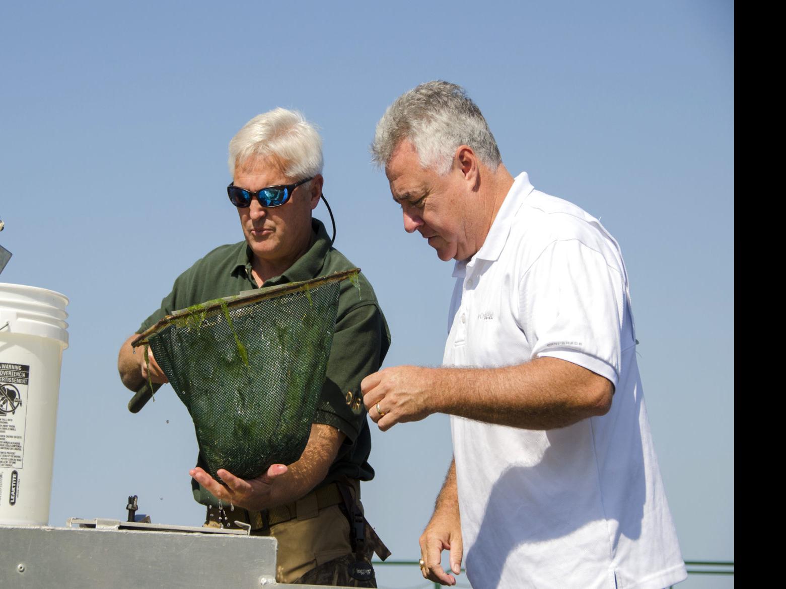 Stripers Stocked In Moultrie Sports Thetandd Com