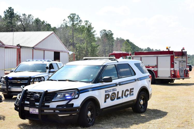 UPDATED/WATCH NOW Ultralight pilot injured; Holly Hill plane crash