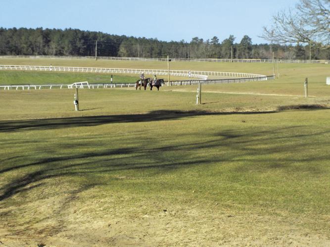 LOOKBACK 55th Annual Elloree Trials promise family fun, heartpounding action