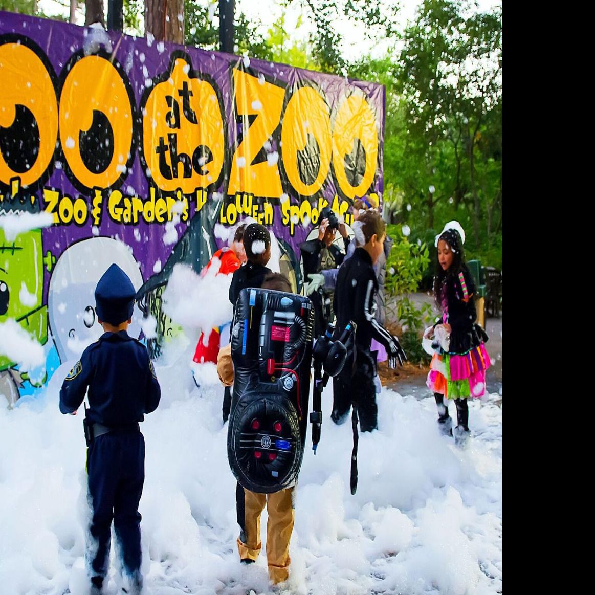 Boo At The Zoo Beginning Oct 19 Leisure Thetandd Com