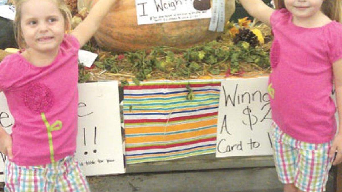 Fair Ribbons 4 H Livestock Poultry Crops Horticulture Winners For 12 Agriculture Thetandd Com