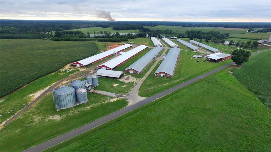 Brubaker Poultry