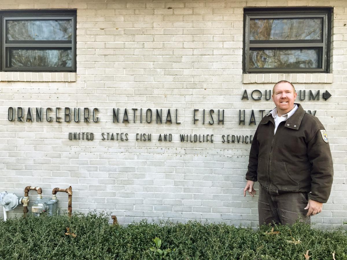Orangeburg National Fish Hatchery has new manager