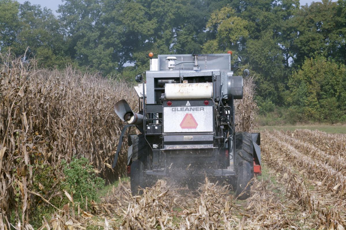 122319 FARM crop prediction
