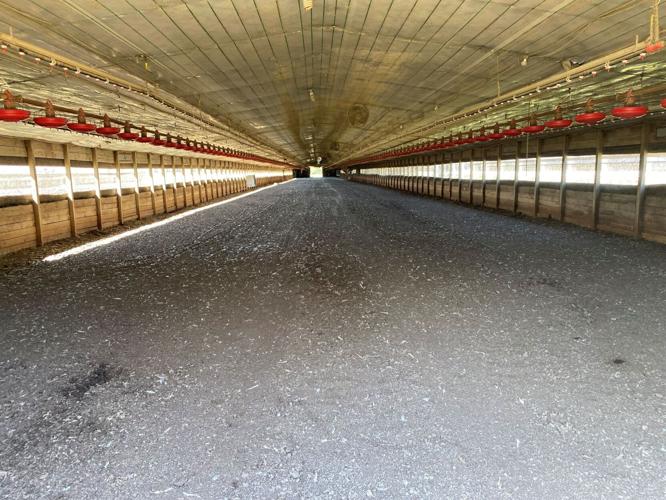 Orangeburg County Poultry