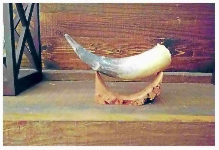 Unicorn hunting with Gracie