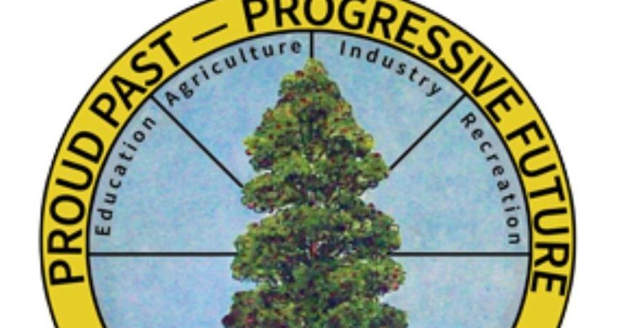 Holly Hill secures funds for sewer repair