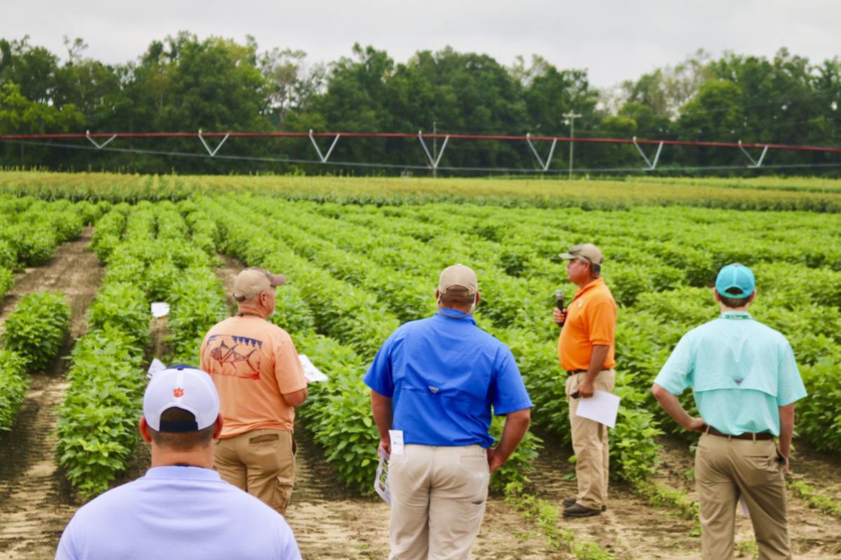 Blackville field day offers look at ag technology to cuts