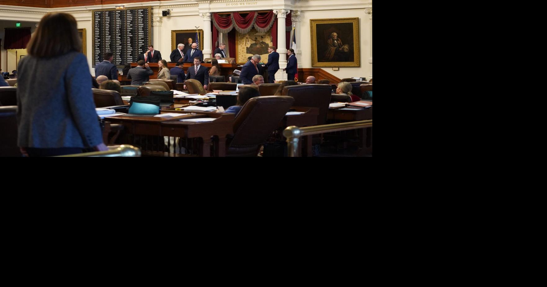 The Back Mic: Breakdown of the School Choice Vote in the Texas House ...