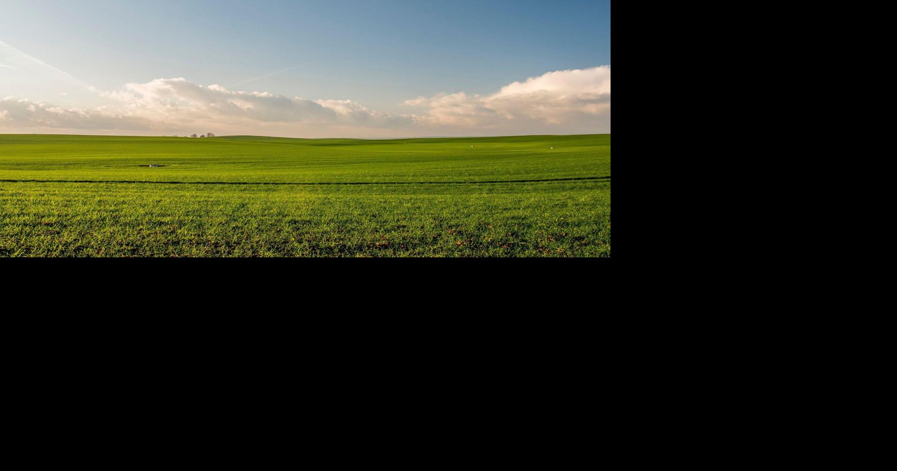 'Solar Geoengineering' Ban Discussed in Texas House Committee Hearing ...