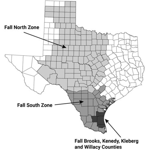 A Texas Turkey Story History, Hunting, and Thanksgiving Dinner Civil
