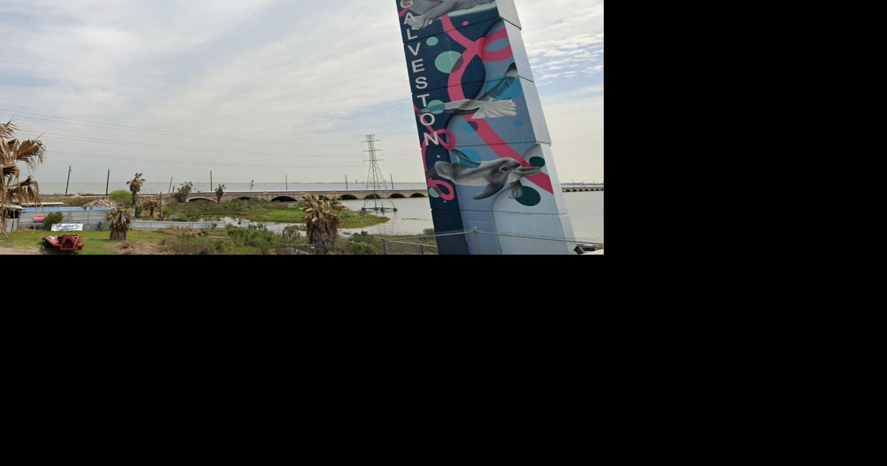 U.S. Supreme Court Allows Galveston County to Implement Redistricting